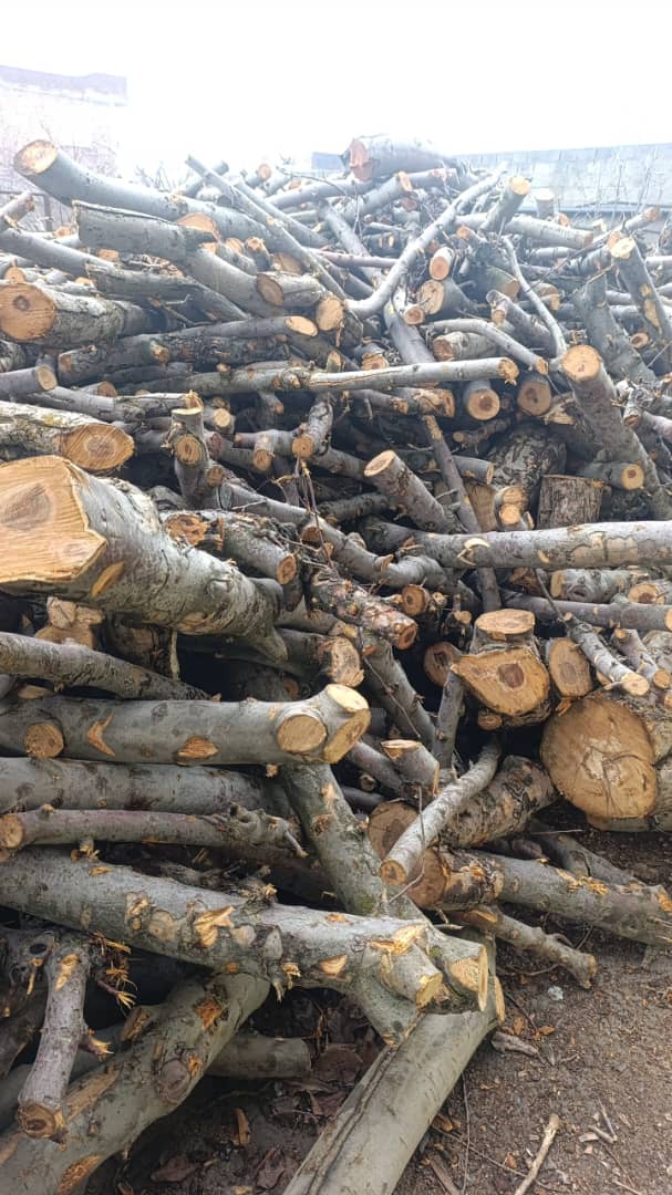 تولید و فروش ذغال کریمی در بوکان